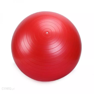 ARMAGEDDON Gymnastic Ball With a Pump 65 cm / Гимнастическа Топка с Помпа 65 см