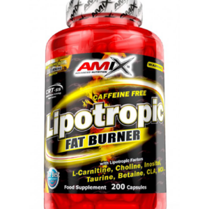 AMIX - Lipotropic Fat Burner / 200 Caps (40 дози) / 200g