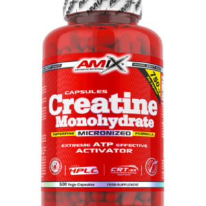AMIX Creatine Monohydrate / 500 Caps / 300g