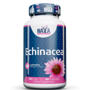 HAYA LABS Echinacea 250 mg / 60 Caps