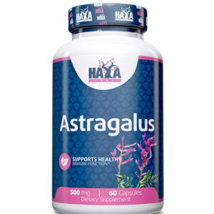 HAYA LABS Astragalus 500 mg / 60 Caps