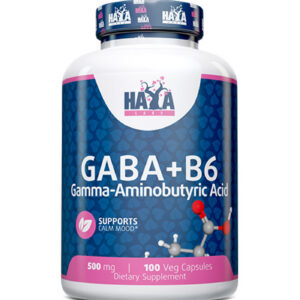 HAYA LABS GABA + B-6 500 mg / 100 Vcaps