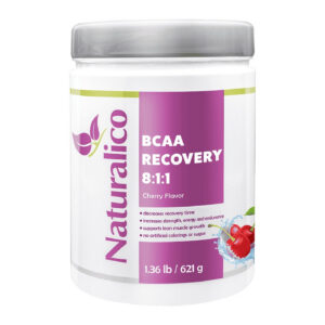 NATURALICO BCAA Recovery 8:1:1 621 г