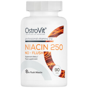 OstroVit - Niacin 250 | No-Flush / 90 Таблетки, 90 дози