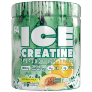 FA Nutrition - Ice Creatine Monohydrate | Evercool Ice Effect (60 дози) / 300 грама