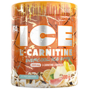 FA Nutrition - ICE L-Carnitine (75 дози) / 300 грама