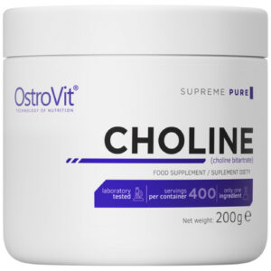 OstroVit - Choline Bitartrate Powder / 200 грама, 400 дози